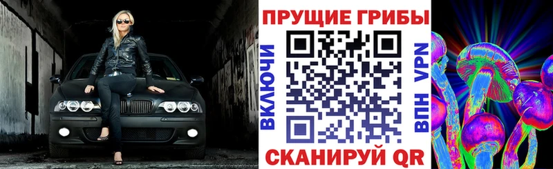 Псилоцибиновые грибы GOLDEN TEACHER  Печоры 